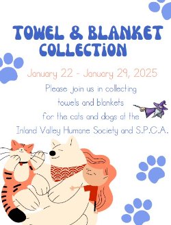 Towel & Blanket Collection Flyer